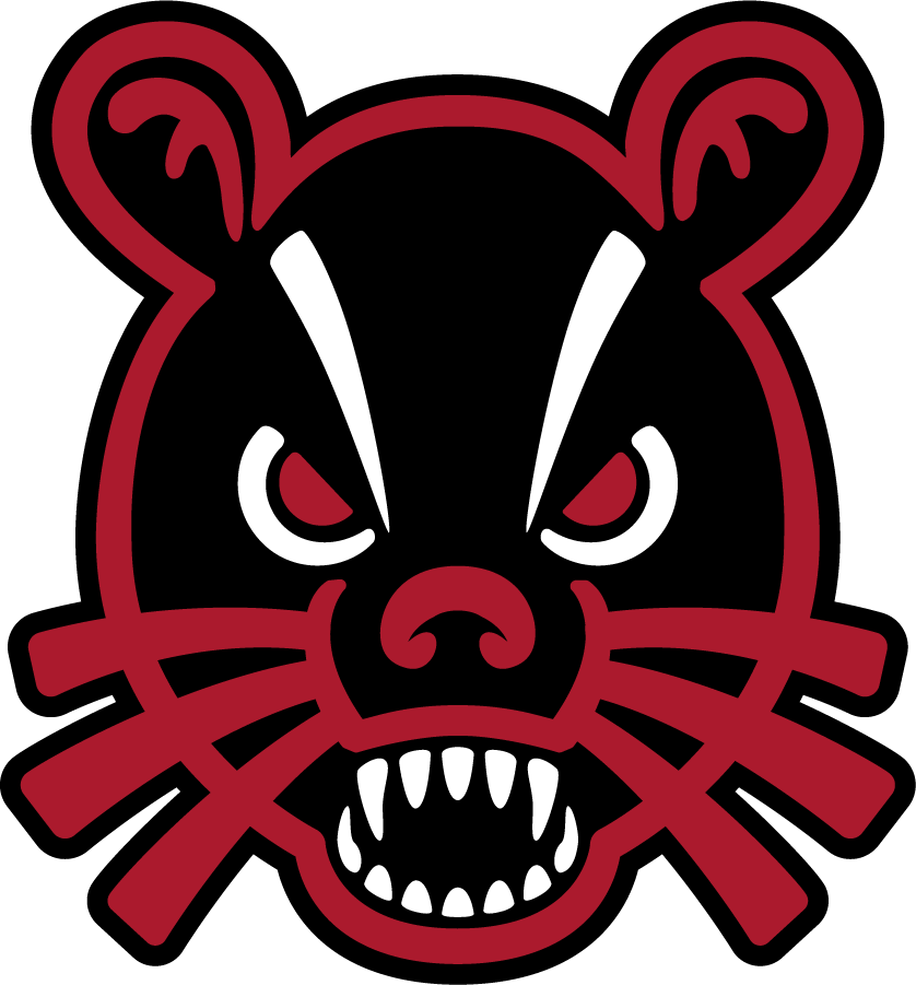 Cincinnati Bearcats 2018-Pres Secondary Logo t shirts iron on transfers